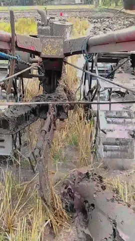 trend e tukang traktor @sambelaja @mas Riski 22 #teamngiwomadang #teamwegahngoyo #petaniindonesia🇮🇩🇮🇩🇮🇩🌿🌿 