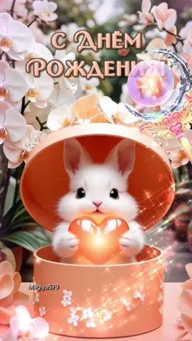 13 #Magiya579 #сднемрождения #сднемрождения2025 #деньрождения #поздравляюсднемрождения 