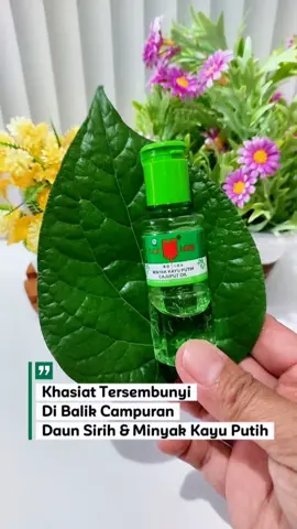 Khasiat tersembunyi dibalik daun sirih & minyak kayu putih ... 😱⁉️ #tips #tipssehat #infosehat #obatalami #herbal #daunsirih #minyakkayuputih 