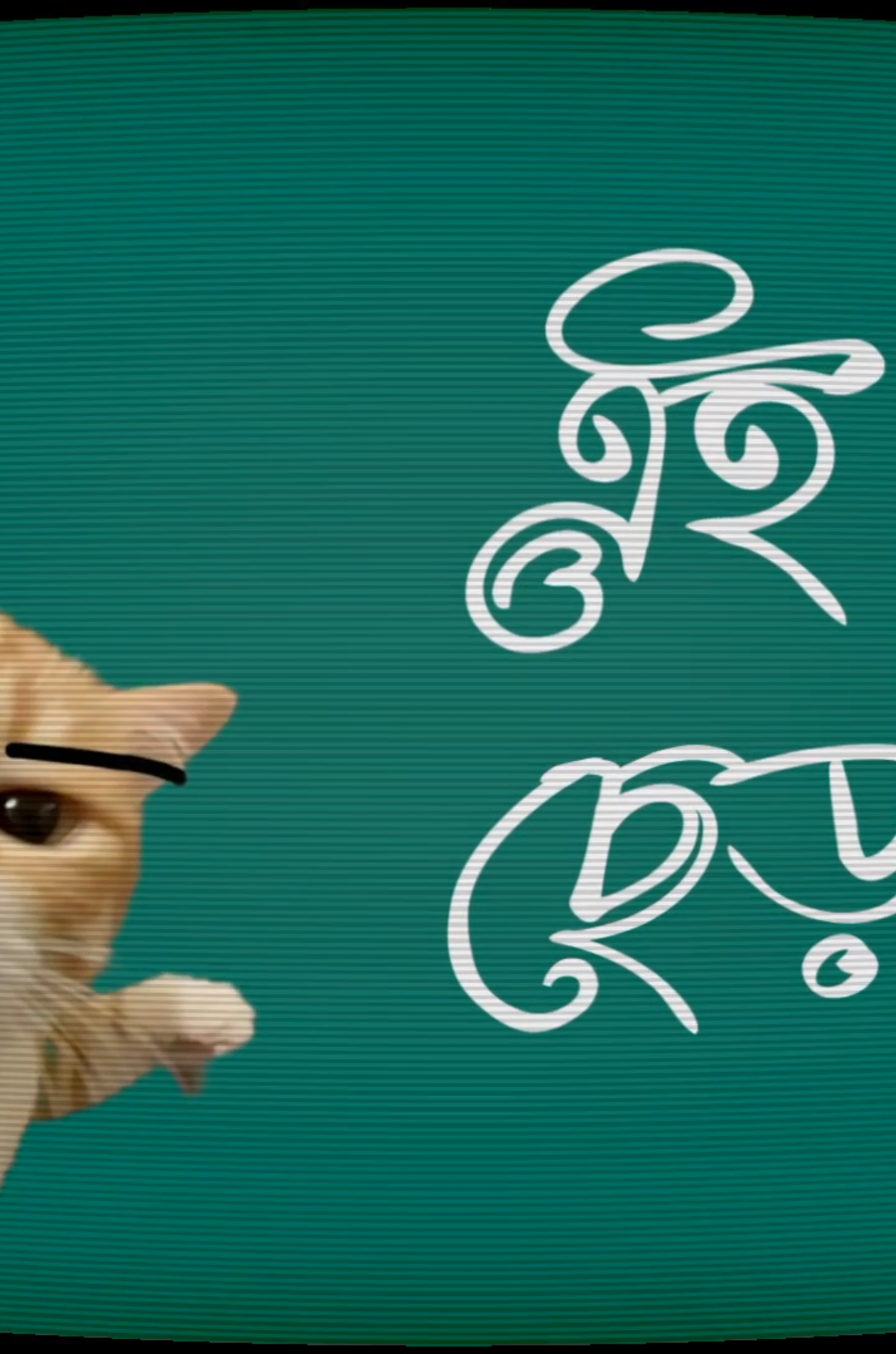 এই ছেড়া 🤨 #foryou #vairal #tiktok #trending #copylink @TikTok @For You 