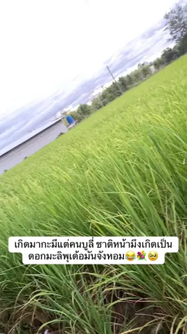 ชาติหน้าเกิดเป็นดอกมะลิเด้อ😂💐(มันหอมดีนะ)#ดอกตีนเป็ด #เพลงฮิตtiktok #ฟีดดดシ 