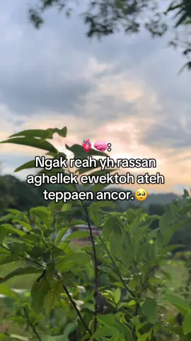 #katakata#katakatamadura#masukberanda#MDRkampak#fyp