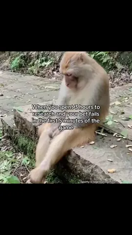 Please blow up #ghanatiktok🇬🇭🇬🇭🇬🇭🇬🇭 #ghanameme #memestiktok #relatablecontent #jollof5cedis 