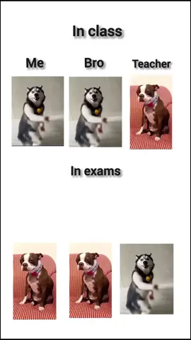 pagal teacher 🙂#fyp #trending #goviral #unfreezemyacount #creatorsearchinsights 