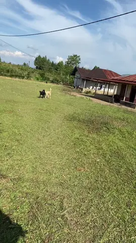 Setelah 1 minggu tdk jmpa