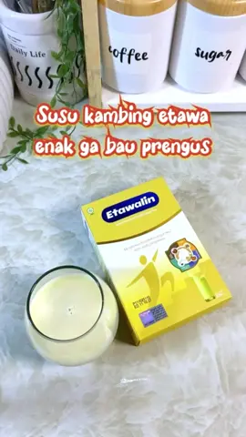 Susu kambing yang enak, ga bah prengus co di keranjang #etawalin #etawalinoriginal #susuetawalin #etawalinid #etawalinasli 