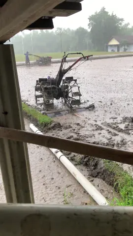 inpo puli 12 an ji😭@Deni @𝕋𝕖𝕣𝕟𝕠 𝕤𝕠𝕟𝕥𝕖𝕜💋 @DCLIK.💋 @ipullstd71__ @jingooo #teamwirawiribayaran #teamngiwomadang #putrakndgrup 