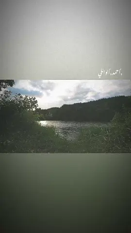 ونسئل الله لايذل واحد💔🥺#الشيخ_احمد_الوائلي #الشيخ_علي_المياحي #قران #عبدالرحمن_مسعد #اكسبلور_explore 