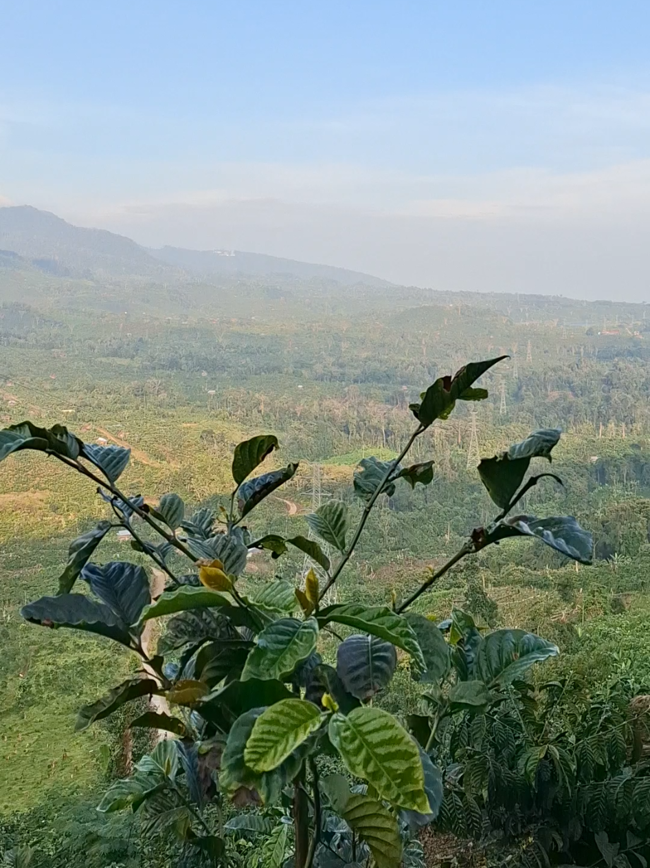 mpupmpupmpu #semende#yayasan #Rantau #danaudedughuksemende#muaraenim_palembang 