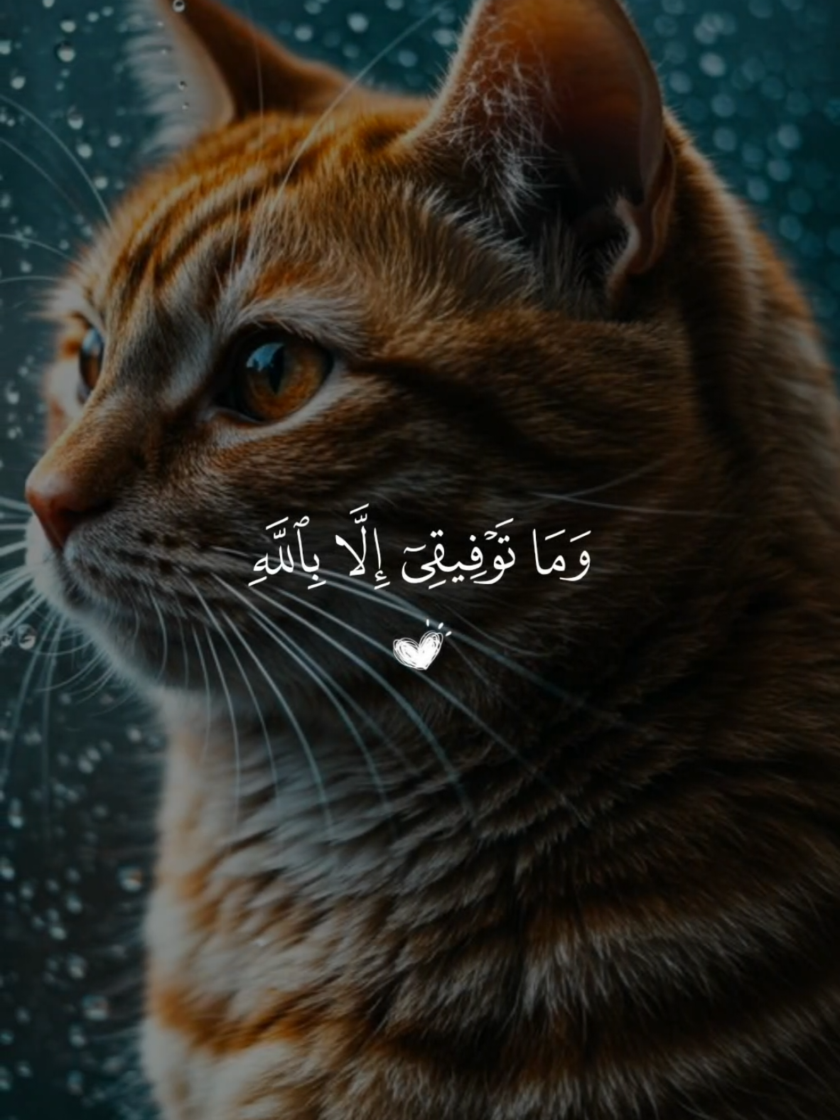 تلاوة خاشعة 🤍 القارئ ماهر المعيقلي من سورة هود🤍🌿وماتوفيقي الا بالله 🤍 #قران  #islamic_video   #alhamdulillah  #quran  #قران_كريم 