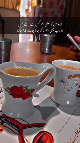 زبردستی کا تعلق ہم کسی سے رکھتے نہیں                      جو جب بھی چھوڑ کر جانا چاہے خدا حافظ#viralvideo #foryoupage #plzunfrezemyaccount #niazi333 #mainwali💕 