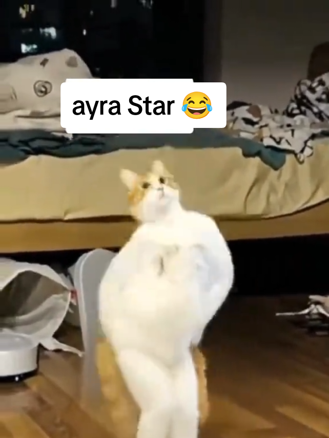 just for fun oo#goviral 