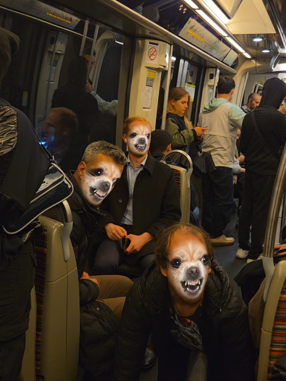 Une incroyable histoire d'amitié entre animaux 