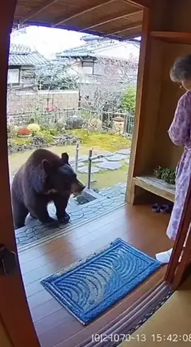 #おばあちゃん #ai #熊