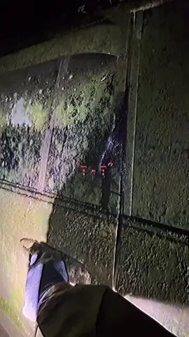 なまにくランドクルーザー100系シグナス盗難車なのか？こんな山の中に捨てられているランドクルーザーその中には#心霊スポット #怖い 