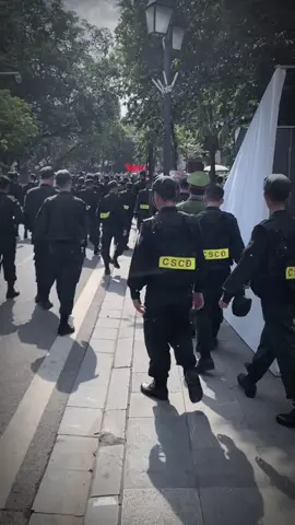 #CapCut ngày đi làm tối về đánh máy 🐣#congnghethongtin🥰 #cscd #cuoidien #xhhhhhhh