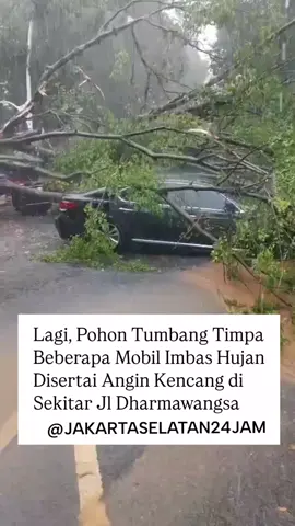 16.08 Pohon tumbang dibelakang Dharmawangsa Jaksel saat ini sedang penanganan Petugas terkait agar pengendara tetap berhati-hati bila melintas