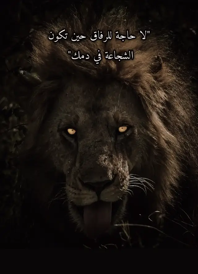 #الشعب_الصيني_ماله_حل #الشعب_الصيني_ماله_حل😂😂😂😂😂😂 