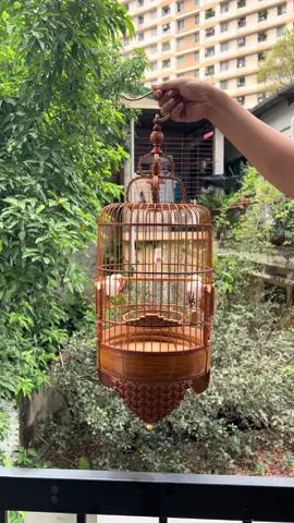 Lồng khuyên triện chỉ 400xu đủ phụ kiện ạ 👍 #longkhuyen #longchimkhuyen #longkhuyenduc #longkhuyenduc #longkhuyenggiare 