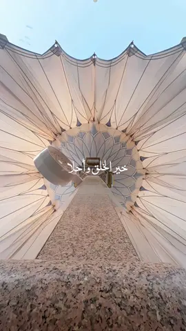 الصلوۃ والسلام علیک یاسیدی یارسول اللہﷺ صلی اللّٰہ علیہ و آلہ وسلم SAW (PBUH) . . . . . #creatorsearchinsights #prophetmuhammad #fyp #goviral #jummamubarak 