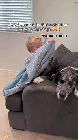 The sweetest friendship🥰🥰 #dog #pet #baby #Love #lovestory     