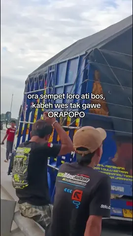 #fyp #trukmaniaindonesia 