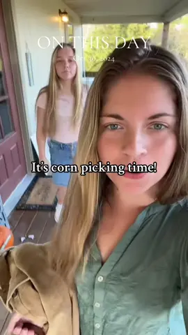 #onthisday the corn was ready to be picked this time last year. #farmboy #corn#farm#farmfamily