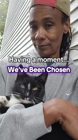 He chose us! Out of all the kitties we've seen in our neighborhood, this little guy is adamant about making this his new home. Who am I to say no to a beautiful soul being left outside when winter is around the corner?  In just a few days we've been able to litter box train him outside, introduced him to our cat & dog and allow him inside for a couple hours. All this guy wants is love and our family's heart is big enough to provide. Let's get you prepared for the winter. Welcome home Lil guy. You've found your tribe ❤️ #catsoftiktok #cattok #catbond #catchosehisperson #HealingJourney 