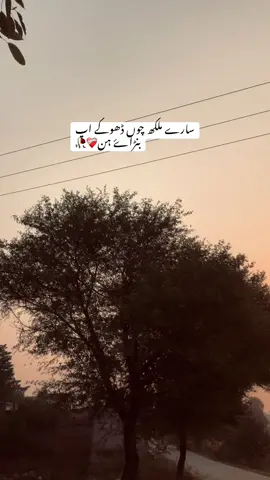 Last line…………/🥀🕊️ #punjabipeotry🥀 #aesthetic #viraltiktok #foryou #trending 