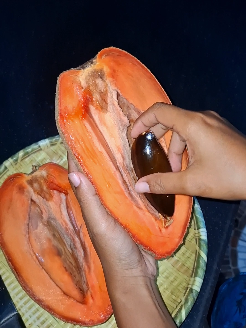 #ละมุดยักษ์ซาโปเต้ #น้ําตกวิภาวดี #สุราษฎร์ธานี #สวนoasisforestgarden 