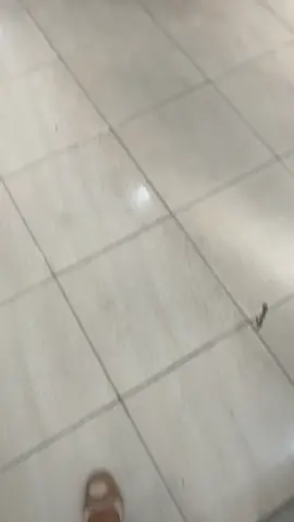 Grand filano hybrid neo OTR 30.414.000 Dp minim 2.550.000 angsuran 1.389.000 (36bulan) #fyp #yamaha #grandfilano 