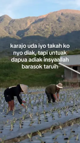 nan ka mambali bawang perai lansuang sajo ka parak kami🤗🤗 #fyp #minang #parakbawang #lewatberanda #fypminang 