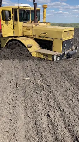 #безкомментариев #залетит 