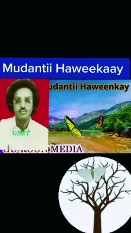 marwadii lasheege #somalitiktok #somalilander #foryourpage #veral ##onthisday 