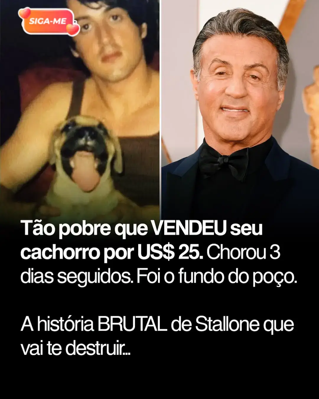 Ele era tão pobre que teve que vender o seu cão mas com perseverança e um sonho mostrou ao mundo que por mais vezes a vida de mande para o chão deves sempre te levantar e nunca disistir. #rockybalboa #filmes #cinema #historias #curiosidades @💫✨ 🤍Henriques🤍 ✨💫 