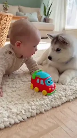 cute baby and dog 🐶🐕🥰🥺🍼🐥