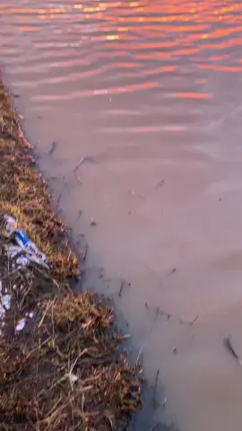 Một chiếc hoàng hôn sau những ngày mưa🥰 #xuhuongtiktok #hoanghon #vairal #xhhhhhhhh 