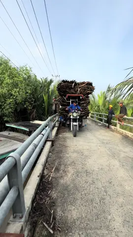 Quá kịch tính@Phát Ba Gác #lalopnha #xuhuongtiktok #giaitritiktok #nghesongnuoc #vairal 