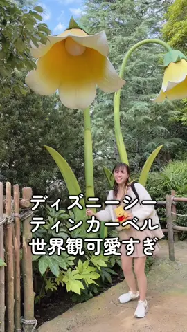 ディズニーシー３年ぶり！！！　#ディズニーシー #ハロウィン　#Disney #ティンカーベル #ミニスカ ⁡