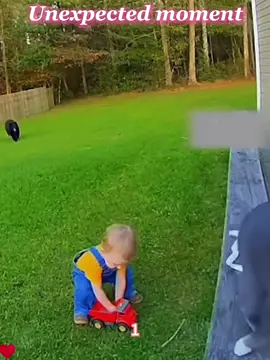 Such a brave cat!#protect #Love #fyp #usa #cat 