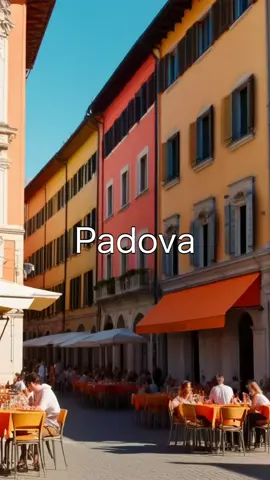 Scopri la vita vibrante di Padova, dove un Aperol spritz costa meno dell'acqua e le multe per parcheggio superano i prezzi degli scooter. Di giorno, emana eleganza con scene pittoresche al Prato della Valle, mentre di notte si trasforma in un vivace parco giochi che ricorda un videogioco. Incontra personaggi eclettici, dai rider di skateboard al leggendario venditore di birra che appare come un Pokémon a mezzanotte. Vivi l'essenza multiculturale di Padova, dove le voglie notturne sono soddisfatte con kebab e l'amicizia fiorisce tra i locali. Dall'indomito servizio tranviario all'intervento divino di Sant'Antonio, questa città mescola storia, cultura, caos e risate ad ogni angolo. Unisciti a noi per un viaggio che cattura il cuore e l'anima di Padova. #Padova #TravelVlog #ItalianCities #NightLife #CulturalExperience 