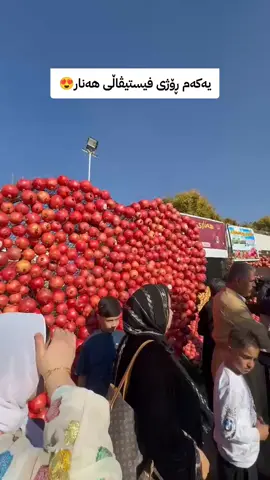تەبعەن بێ حەمە هەر خۆشە فیستیڤاڵ😂😂