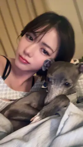 はろーうぃーーん