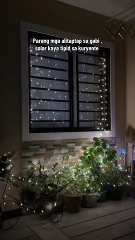 Solar fairy lights ,sobrang haba umulan umaraw iilaw #solarlights #solarlight #christmaslights #light #lights 