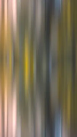 SATURDAy_fuN__BRANDBLAZE🚀⚠️️💣#ඇරගත්ත_අයියලාටික_කෝ#foryou #goviral #fypシ #ns200 @Dinushi_•Motors @Infinity Racing Club @𝗞𝗔𝗩𝗘𝗘 𝗠𝗔𝗟𝗟𝗜 🇱🇰🥇⚠️ 