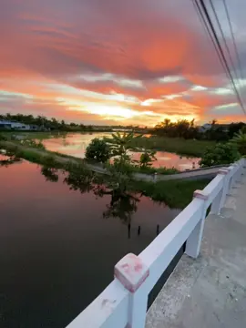 “父亲默默地奉献了他的一生,而我却努力寻找表达爱的 方式。 