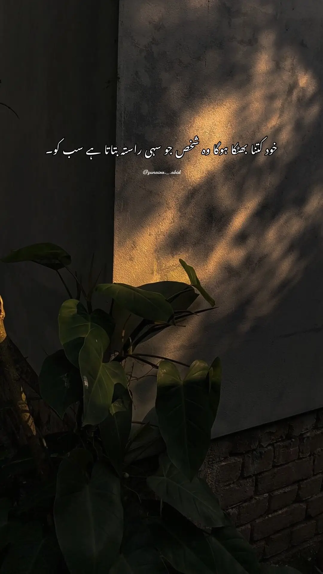 #foryoupage #trending #fyyyyyyyyyyyyyyyy #poetry #foryou 