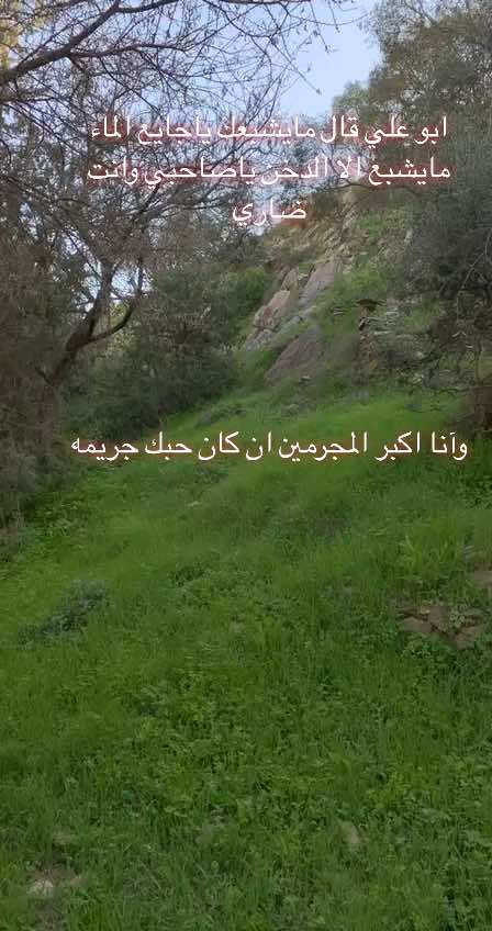 #حبك - جريمه