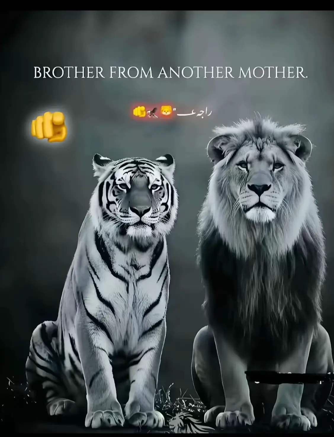 8.4 .M MY REAL BRO 👑👑👑#garenafreefireofficial #accountfrezzed😭100kviwes #fypツ♡viral✨💙 #patlu40k 