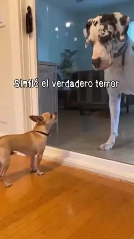 #nooooo #colombia #yosinhacerlemalanadie #elhombrenoesgente #ustedeslosinfieles 